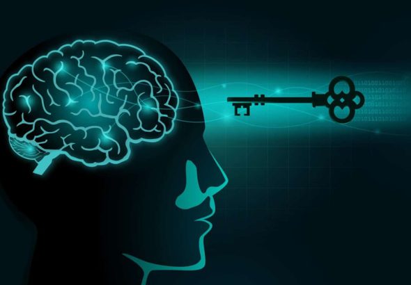 Cultivate a Winning Mindset Strategies for Achievement