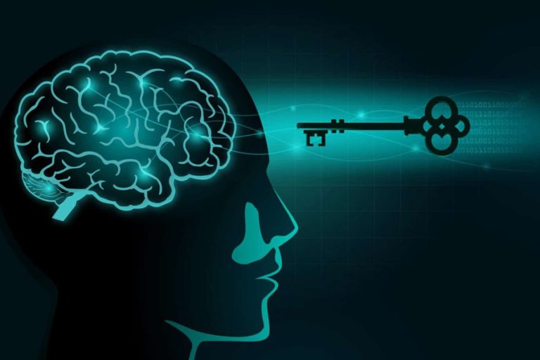 Cultivate a Winning Mindset Strategies for Achievement