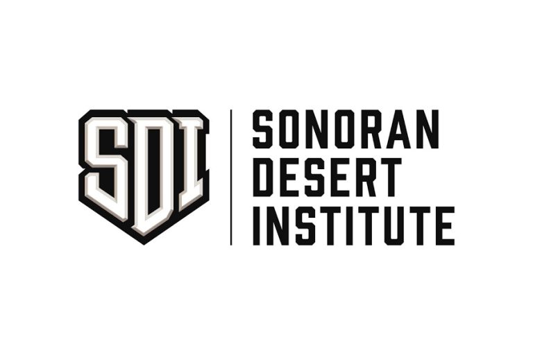 What Sonoran Desert Institute Reviews Say About Hand Checkering and Precision