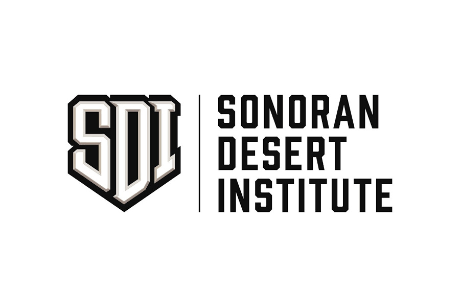 What Sonoran Desert Institute Reviews Say About Hand Checkering and Precision